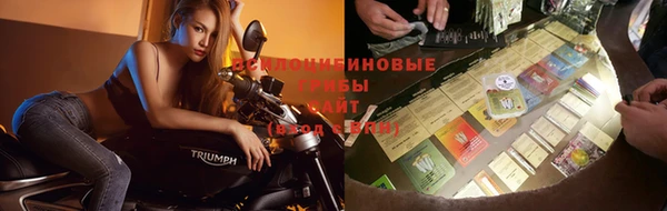 сатива Балахна