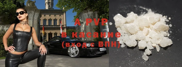 сатива Балахна