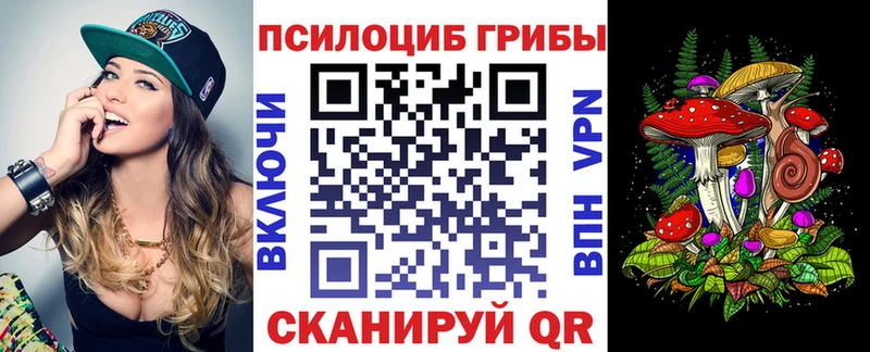 что такое   Тайга  Галлюциногенные грибы мицелий 