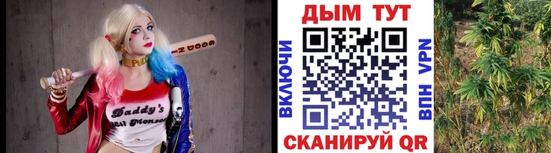 ссылка на мегу зеркало  Тайга  Шишки марихуана конопля 
